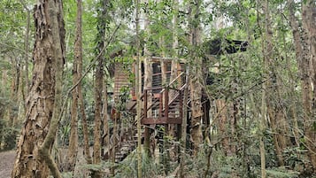Tree House, 1 grand lit | 1 chambre, literie de qualité supérieure, chambres insonorisées