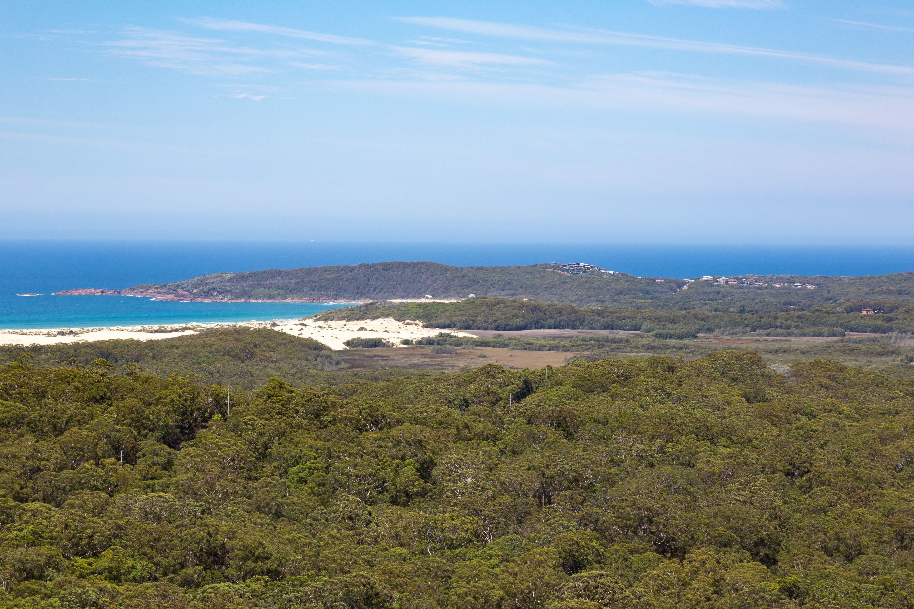 Eine Küstenlandschaft mit dichtem Wald, einem Strand und einer entfernten Hügelkette mit Gebäuden.