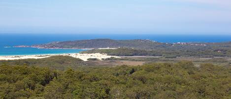 Eine Küstenlandschaft mit dichtem Wald, einem Strand und einer entfernten Hügelkette mit Gebäuden.