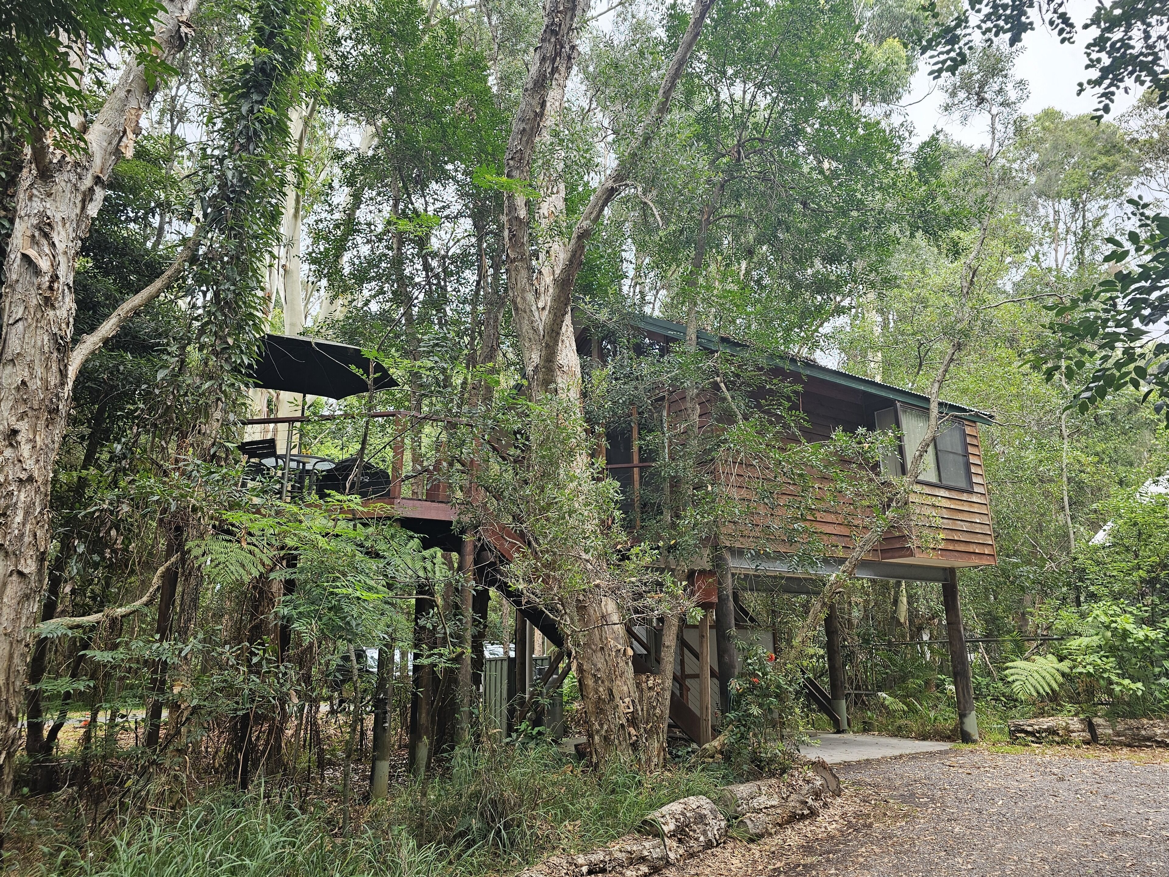 Tree House, 1 Queen Bed | Premium bedding, soundproofing, iron/ironing board, free WiFi