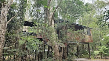 Tree House, 1 Queen Bed | Premium bedding, soundproofing, iron/ironing board, free WiFi
