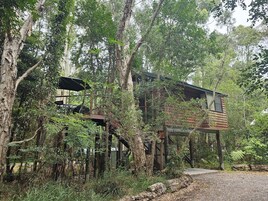 Casa en un árbol, 1 cama de matrimonio | Ropa de cama de alta calidad y sistema de insonorización