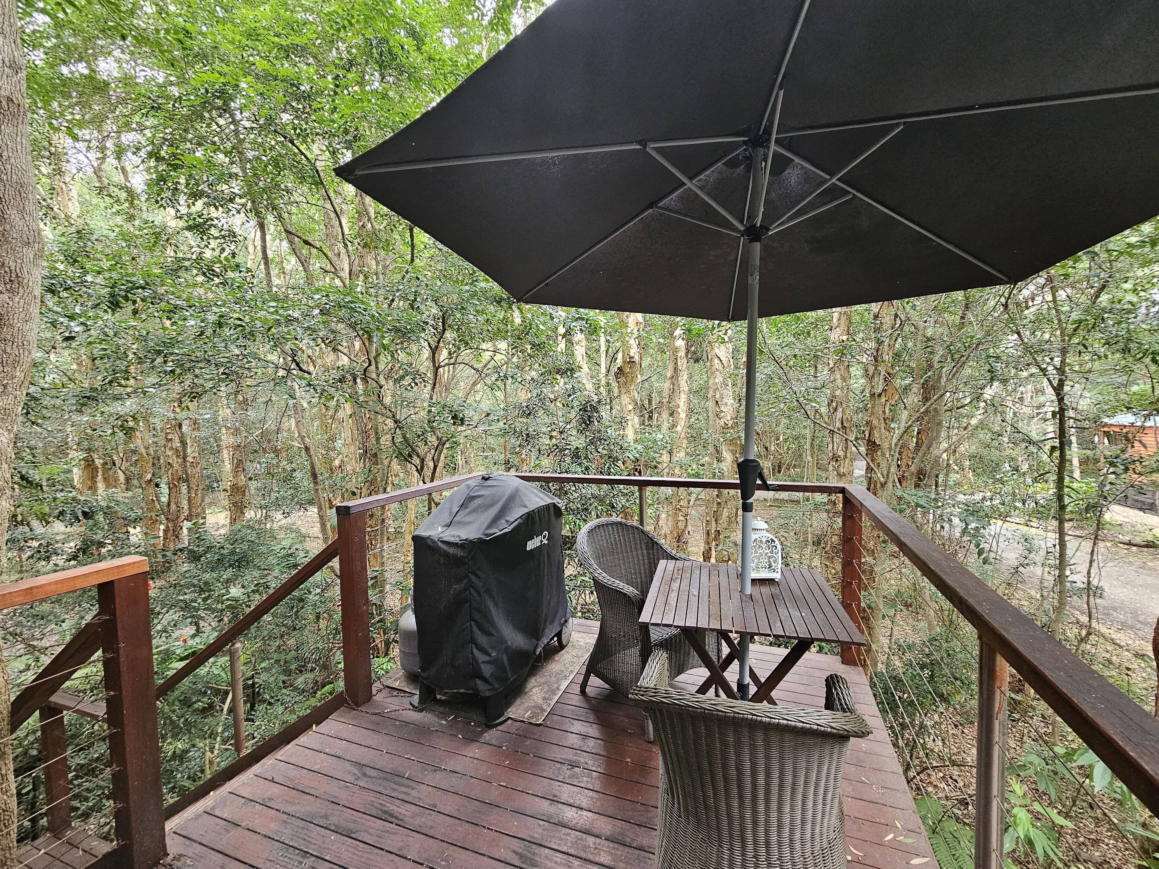 Una terrassa de fusta amb una barbacoa, una taula i cadires, envoltada per un bosc dens.