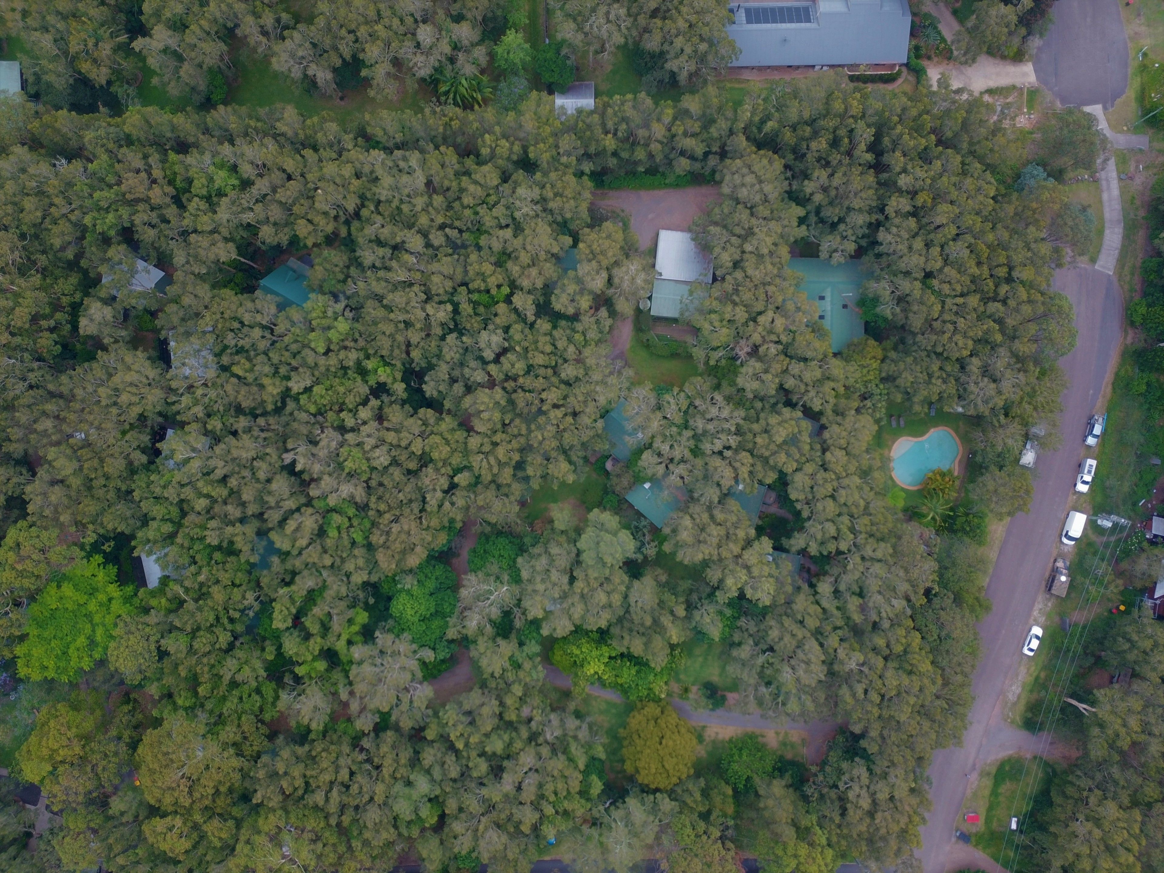 An aerial view of a residential area with dense tree coverage, a swimming pool, and several houses.