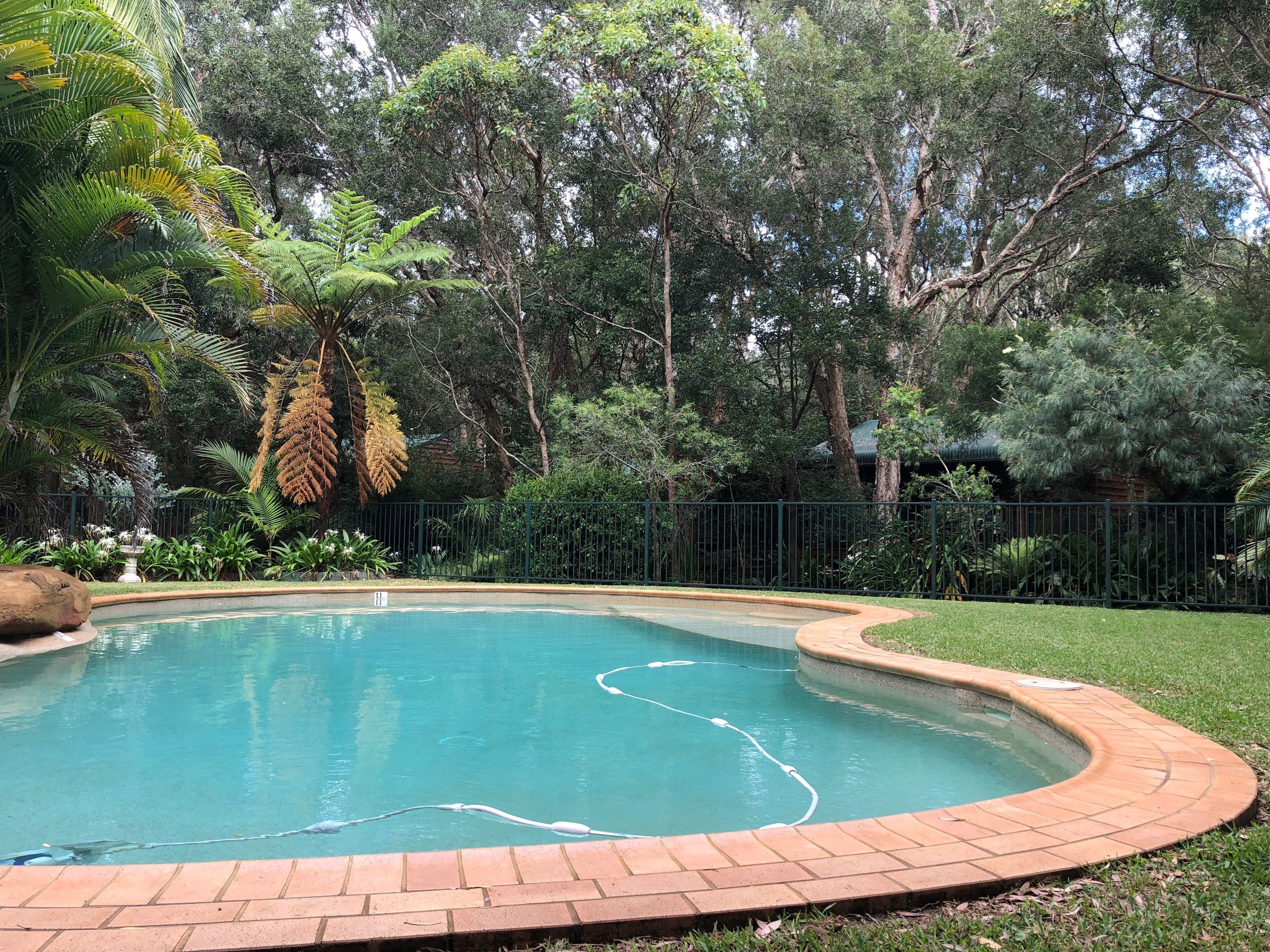 A swimming pool surrounded by lush greenery and a brick border.