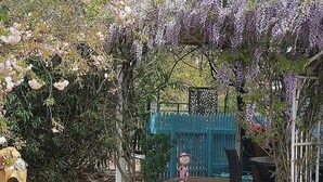A garden with a pergola, a doghouse, and a fenced area. - Must Love Dogs B&b (Rutherglen)