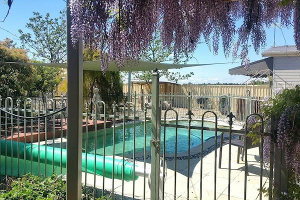 Outdoor pool, pool loungers