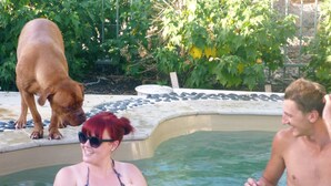 A swimming pool with a dog and people. - Must Love Dogs B&b (Rutherglen)