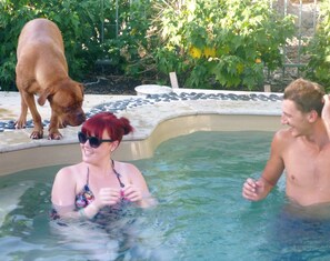 Outdoor pool, sun loungers - Must Love Dogs B&b (Rutherglen)