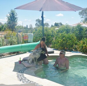 A swimming pool with a green border, a lounge chair, and a dog. - Must Love Dogs B&b (Rutherglen)