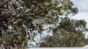 A pathway leading to a house with a covered porch and a garden. - Yallingup Villas (Yallingup)