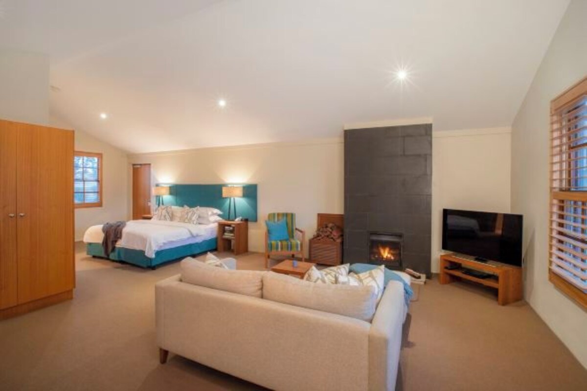 Un dormitorio con cama, sofá, televisión, chimenea y armario.