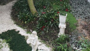 A modern building with a glass facade, a palm tree, and a small garden area with various plants and a statue. - Atlas Suites And Apartments (Tauranga)