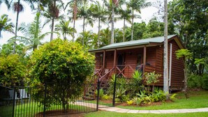 A wooden house with a porch, surrounded by lush greenery and palm trees. - Sunshine Valley Cottages (West Woombye)
