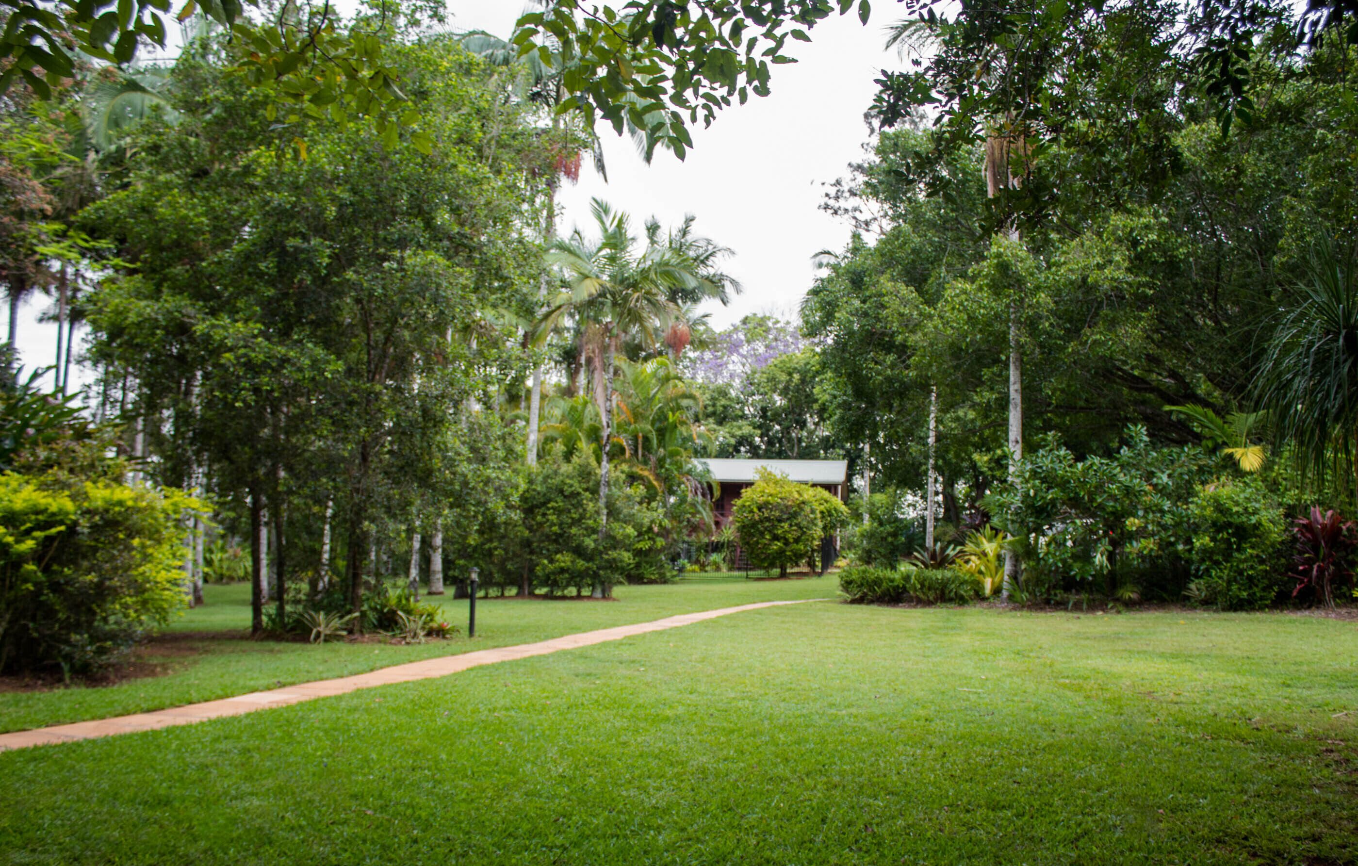Un jardí exuberant amb un camí que condueix a un edifici.