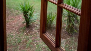 A wooden-framed window with a view of a grassy garden and trees. - Sunshine Valley Cottages (West Woombye)