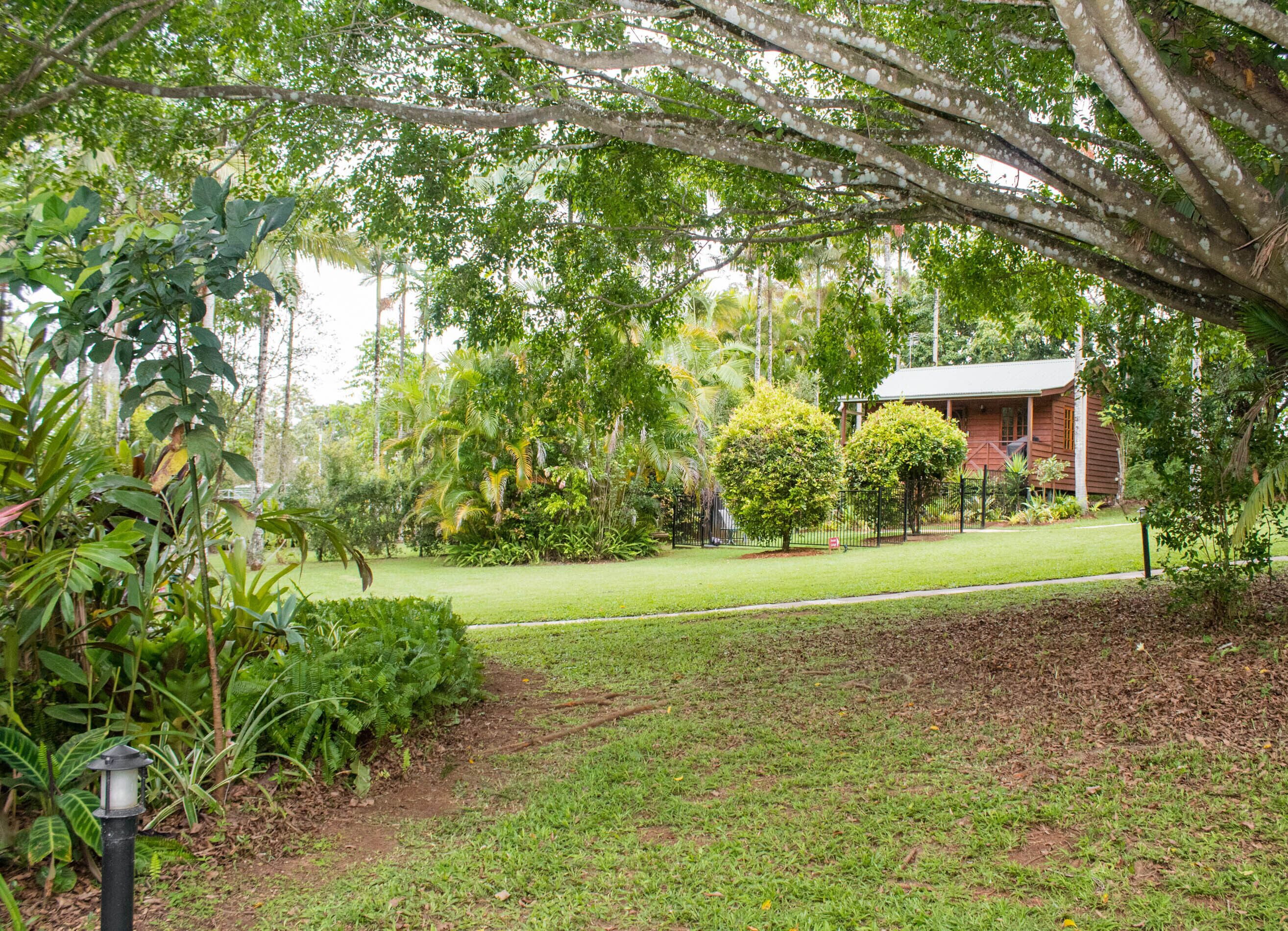 A lush garden with a variety of trees and shrubs, a well-maintained lawn, and a small building with a red roof.