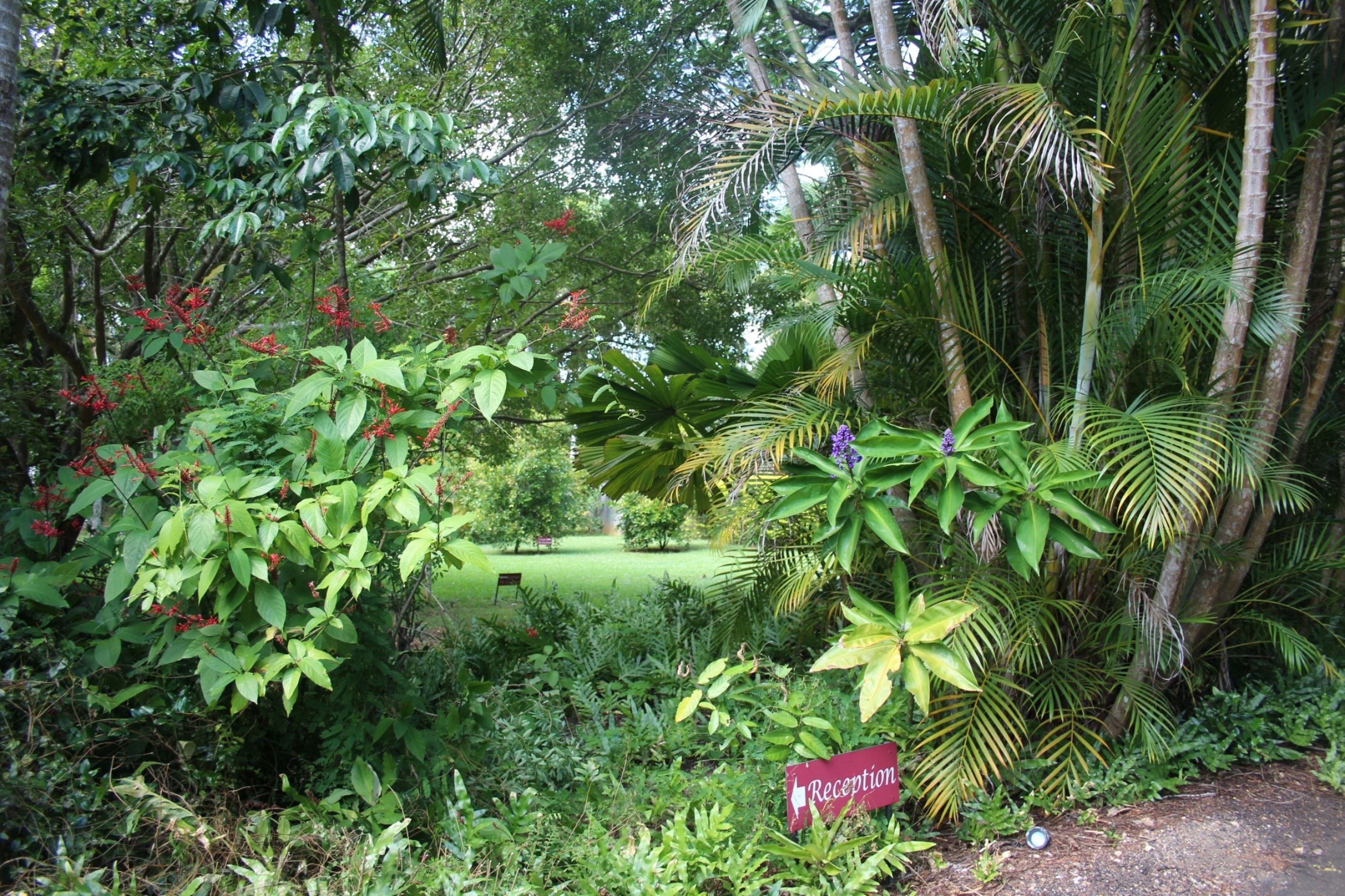 A lush garden with a reception sign, dense foliage, and a bench in the background.