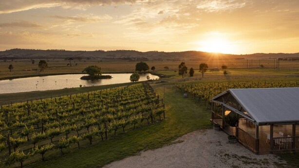 A vineyard with rows of grapevines, a small pond, and a wooden building with a porch. - Cleveland Estate (Lancefield)