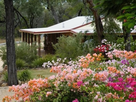 Property grounds. Rubyvale Motel & Holiday Units - An Adults Only Getaway