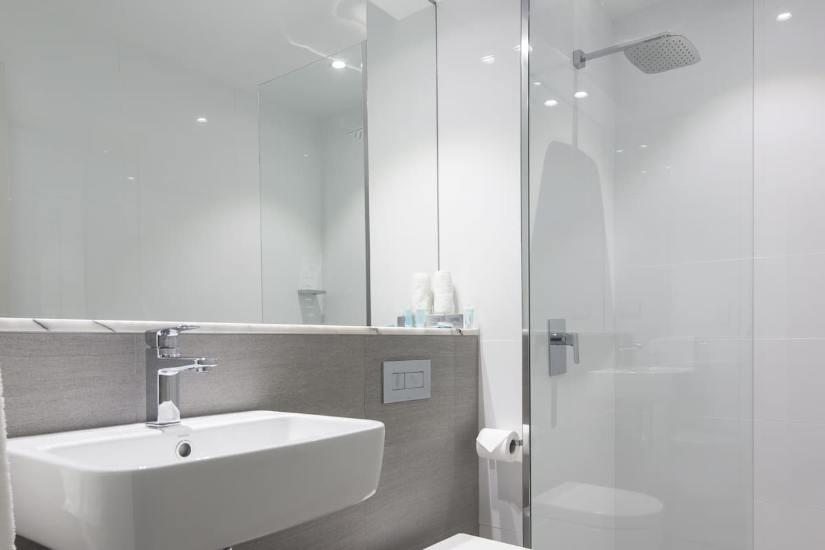 shower, free toiletries, hair dryer, towels