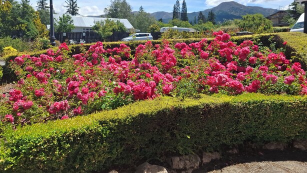 A landscaped garden with vibrant pink flowers, a street lamp, and a mountain backdrop. - Spa Lodge Motel (Hanmer Springs)