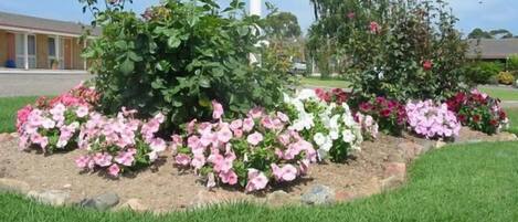 Un jardín ajardinado con diversas plantas en flor y un elemento decorativo esférico.