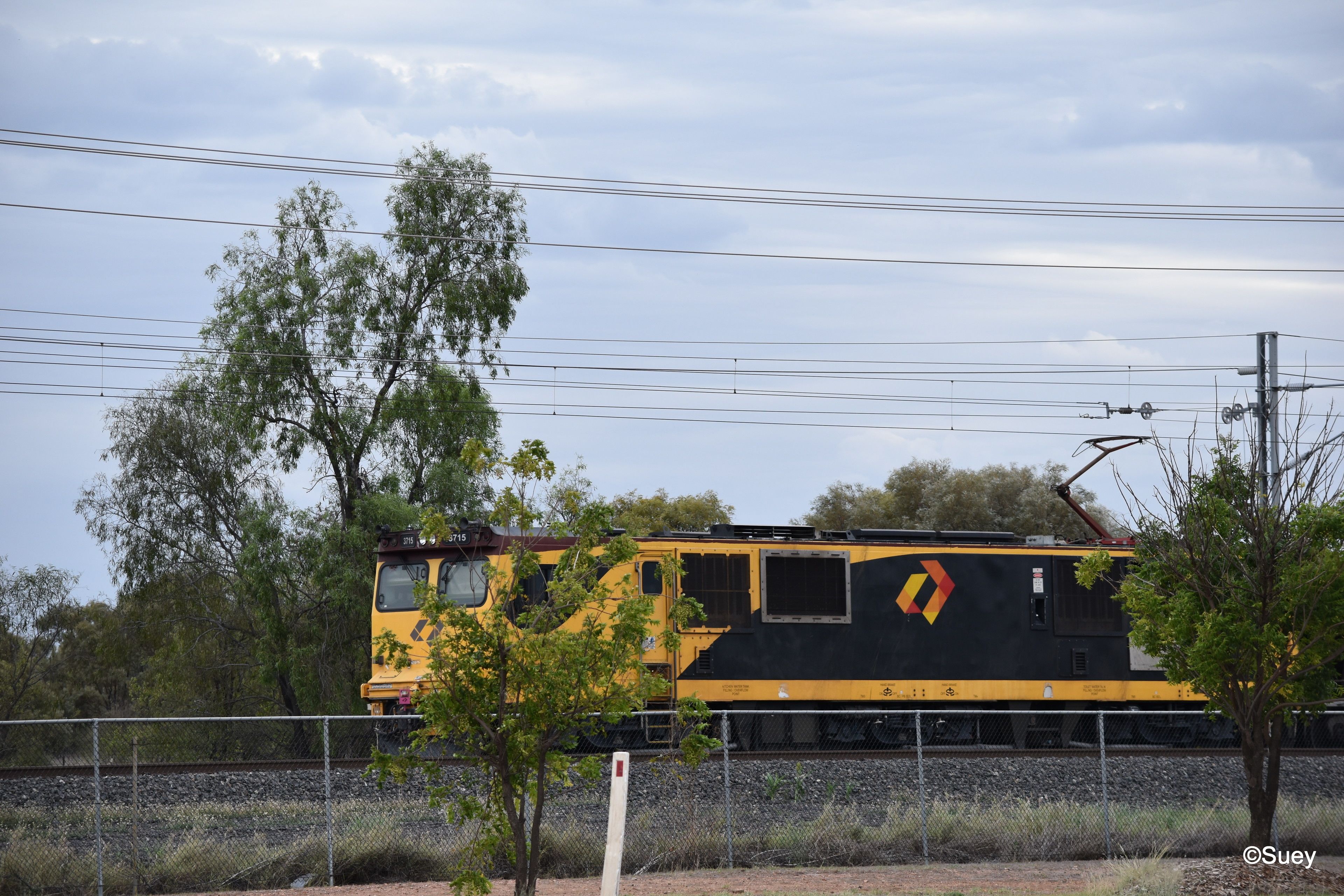 Un train jaune et noir traverse une zone délimitée par une clôture, avec des arbres et des lignes électriques en arrière-plan.