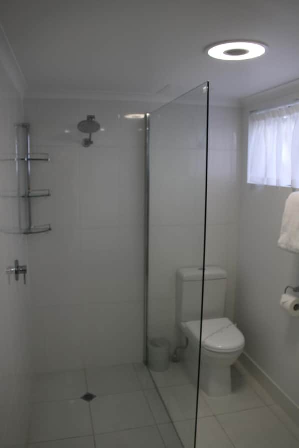 Un baño con cabina de ducha de vidrio, inodoro y ventana con cortina.