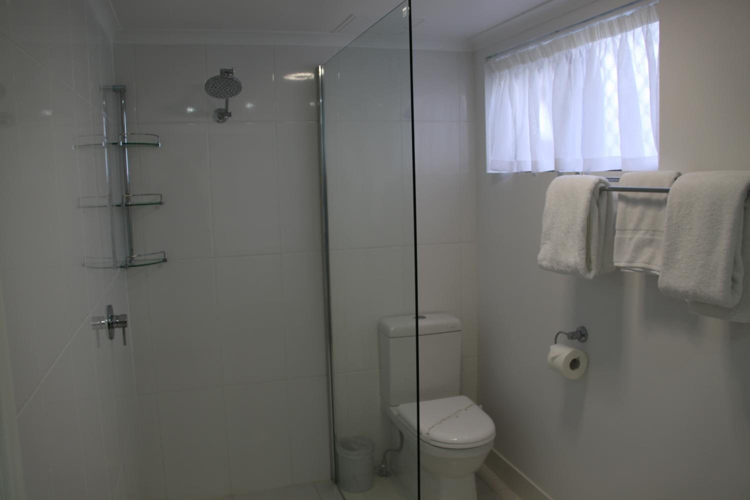 A bathroom with a glass shower enclosure, a toilet, and a window with a curtain.