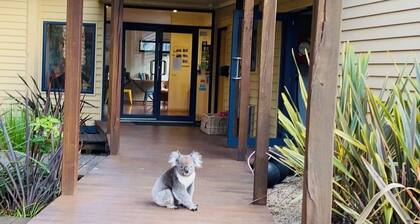 Sandpiper Motel Apollo Bay