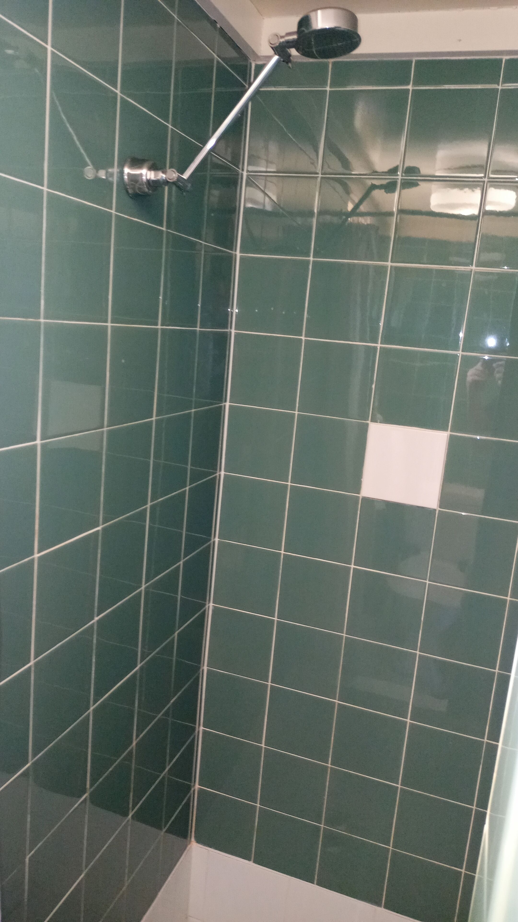 Una ducha con azulejos verdes y un cabezal de ducha de mano.