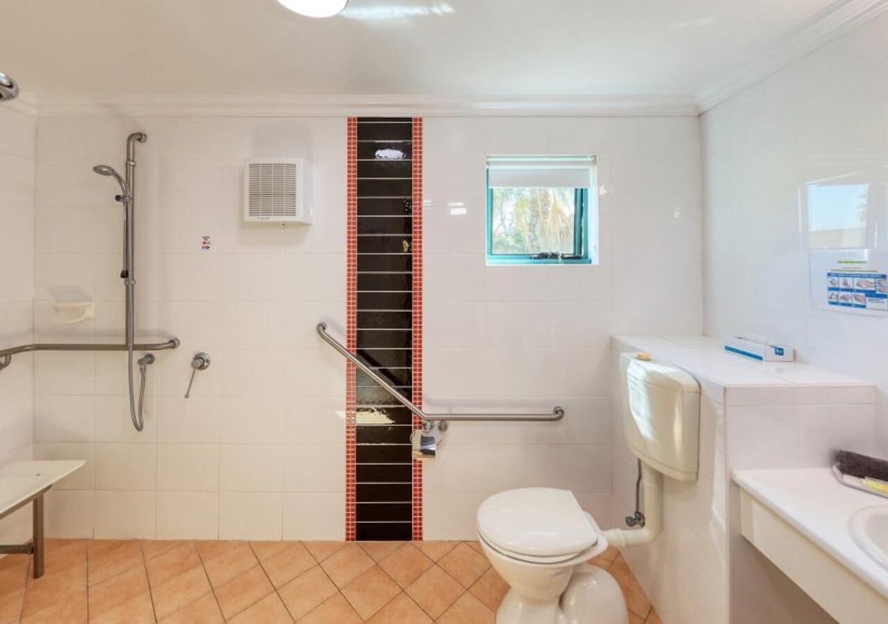 A bathroom with a toilet, shower, and handrails.