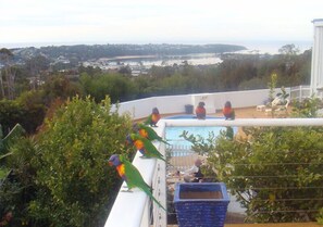 Zona de piscina con vistas al mar y colinas, rodeada de vegetación y una valla blanca.