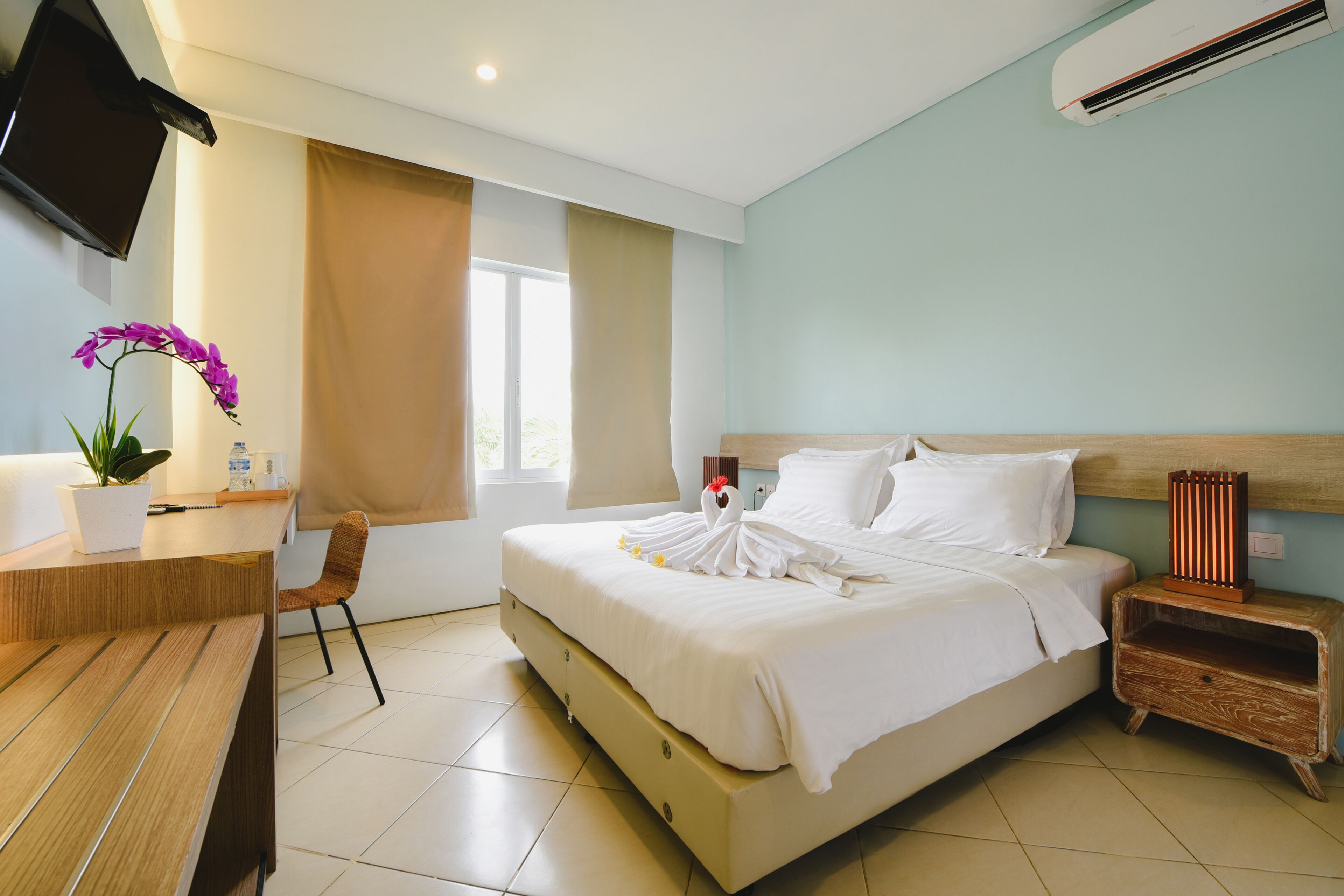 A hotel room with a bed, a desk, a chair, a potted plant, and a TV mounted on the wall.