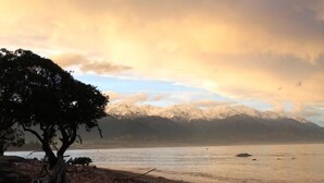 A lakeside view with a tree and mountains in the background. - Inn the Bay Bed & Breakfast (Kaikoura)