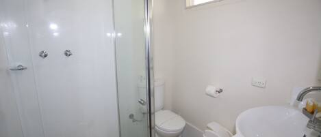 Une salle de bain avec une douche à parois de verre, des toilettes et un lavabo.