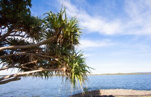 A beach with palm trees and a clear blue sky. - Ballina Hi Craft Motel (Ballina)