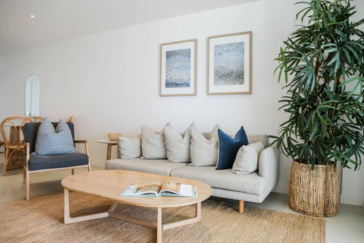 A living room with a sofa, coffee table, and a large plant.