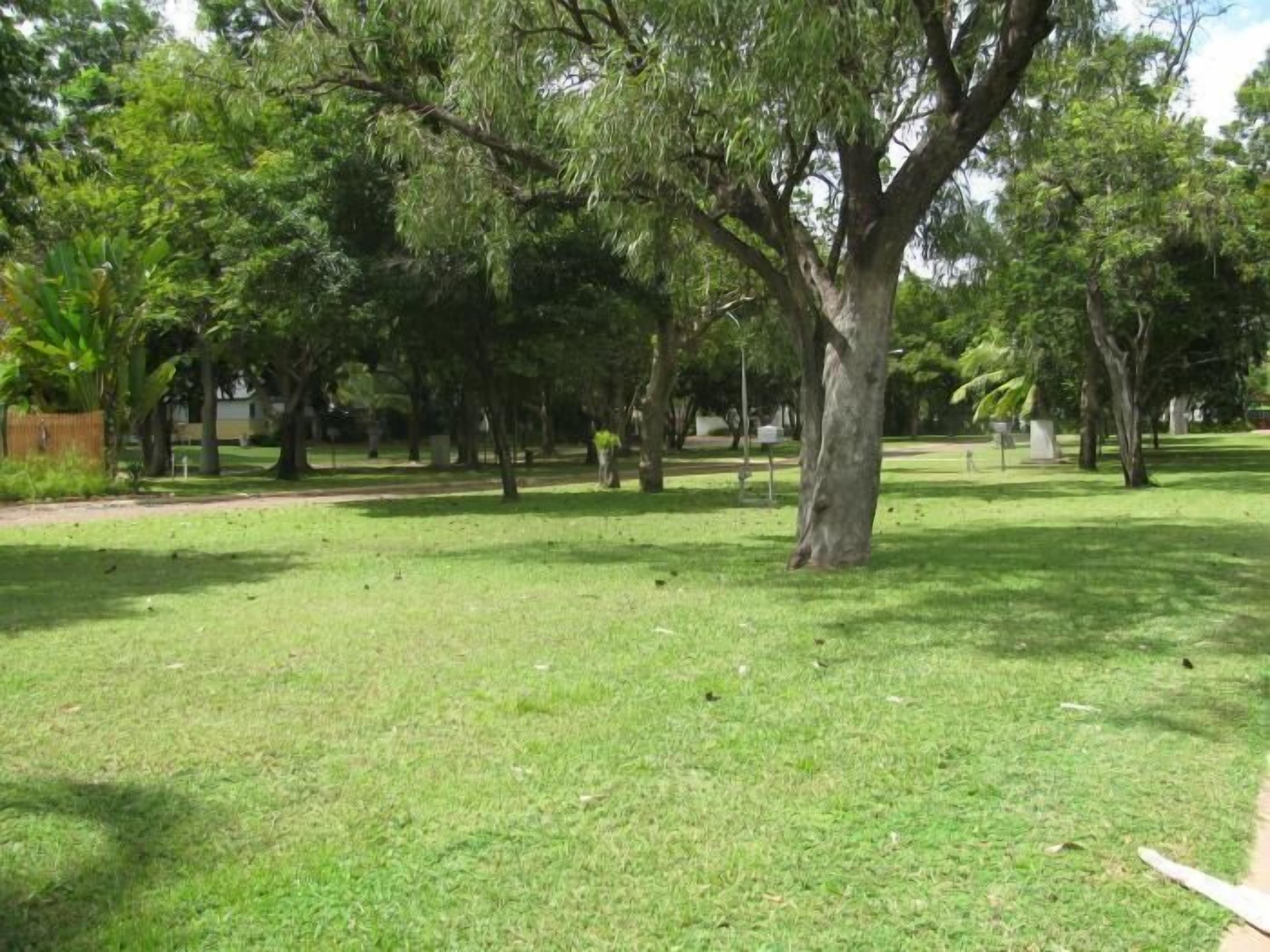 Un parc avec un grand arbre au centre, entouré de pelouse et d’autres arbres.