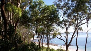A coastal landscape with dense trees and a sandy beach.