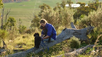 A person sitting on a fallen tree branch in a grassy field with a dog.