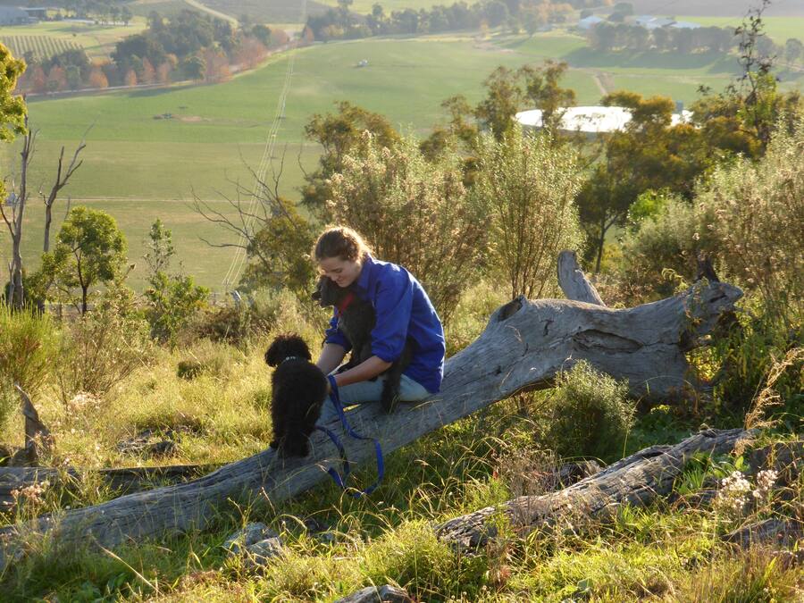 A person sitting on a fallen tree branch in a grassy field with a dog.