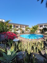 Zona de piscina con una pileta circular, rodeada de plantas tropicales y un edificio con balcones.