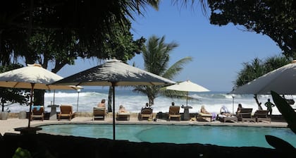 Pondok Pitaya Hotel, Surfing & Yoga