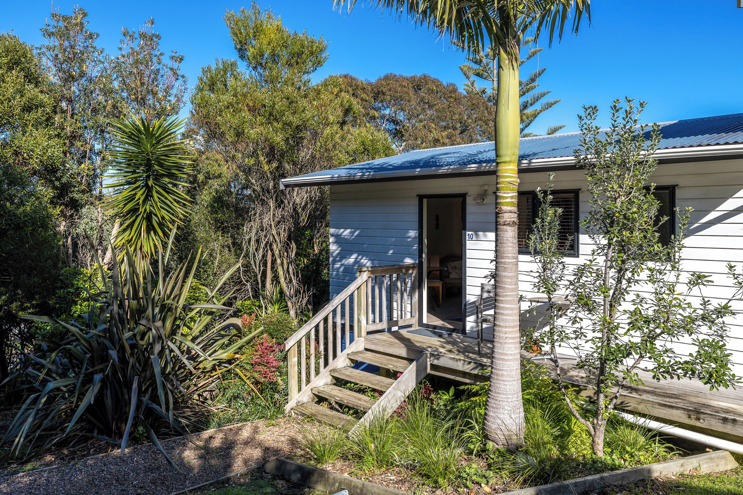 A house with a wooden staircase leading to a door, surrounded by various plants and trees.