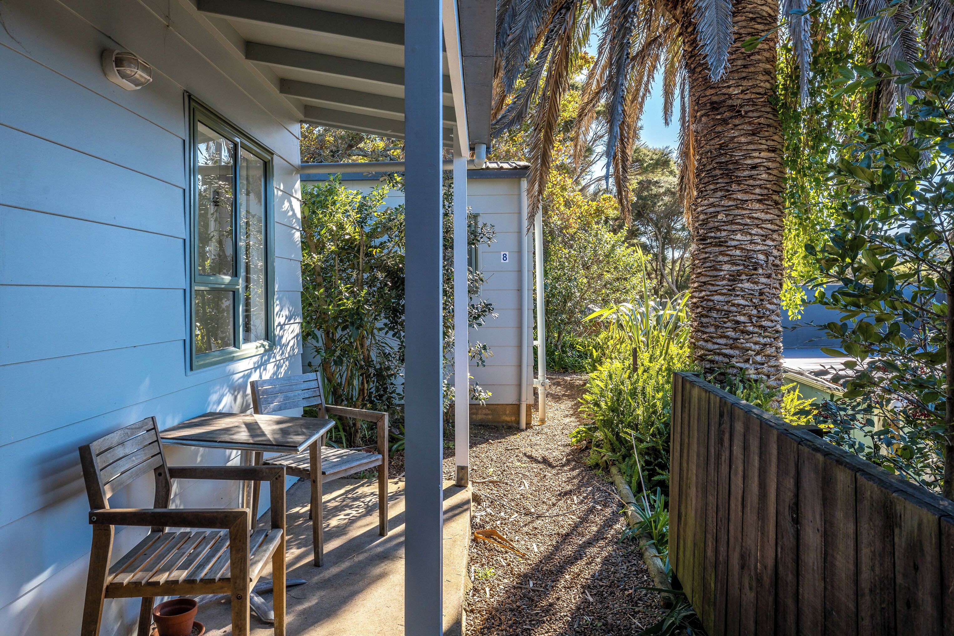 A covered patio with wooden furniture, a small shed, and a palm tree.