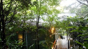 A wooden deck surrounded by dense foliage, leading to a traditional building with a tiled roof. - Treetops Accommodation Montville (Flaxton)