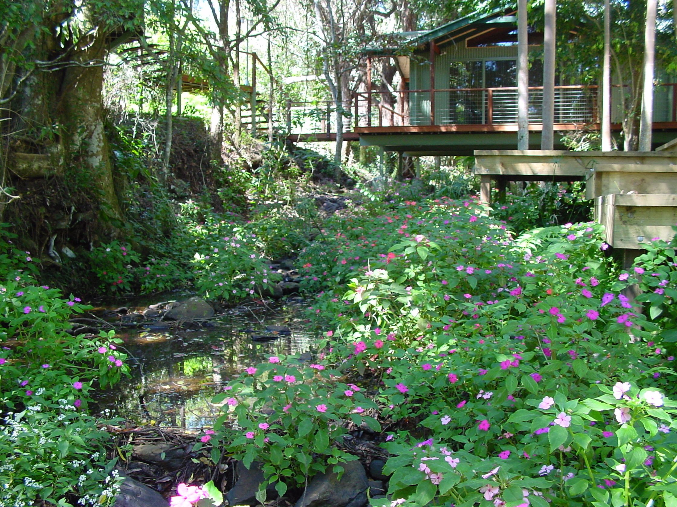 A wooden cabin with a deck overlooking a stream surrounded by lush greenery and flowering plants.