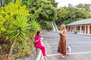 Front of property - Black Forest Motel (Macedon)